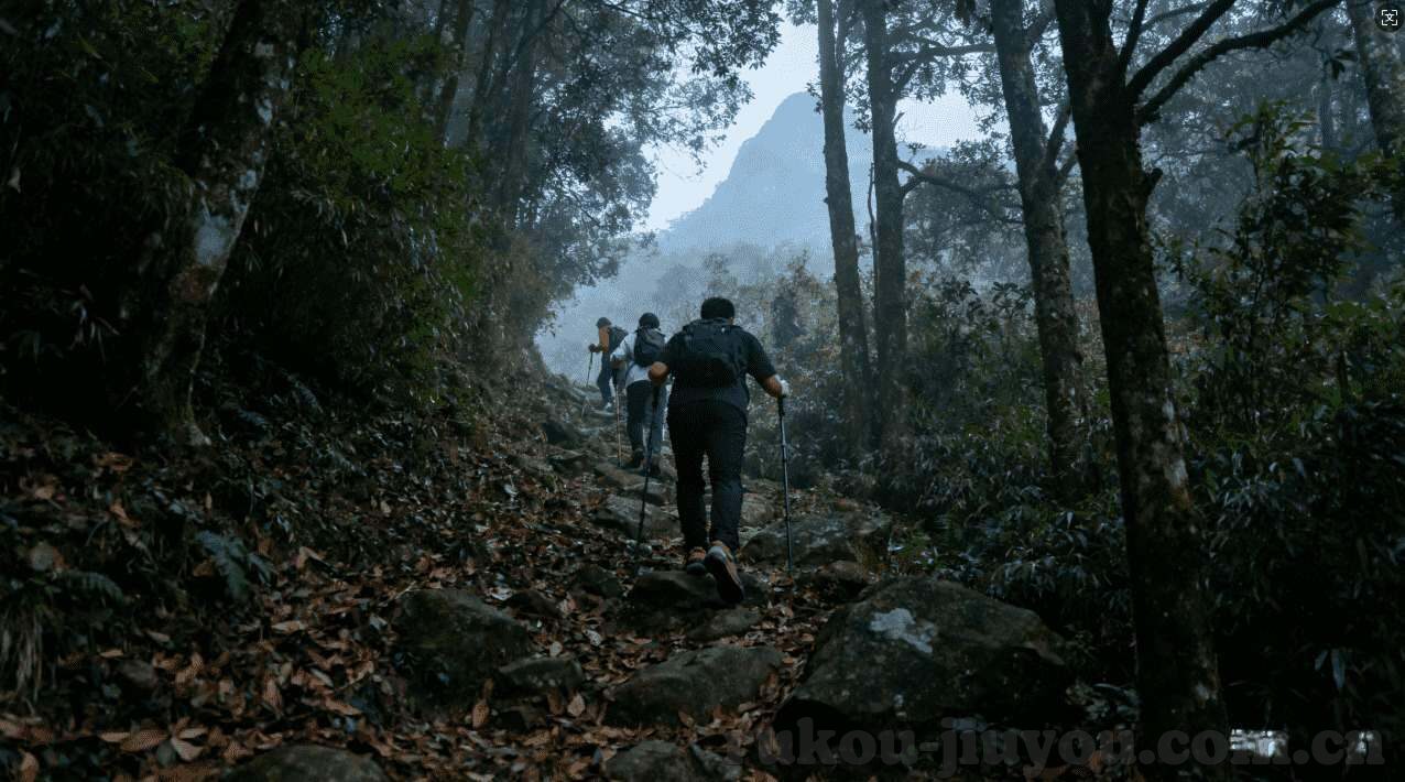 看世界杯直播网址-看世界杯直播网址，一场全球狂欢的在线盛宴